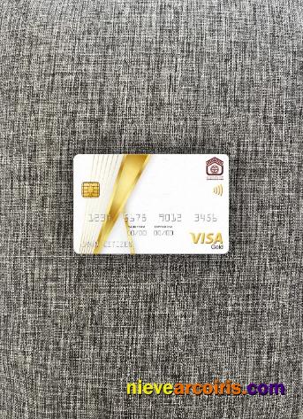 Sudan National Bank visa gold card photolook
